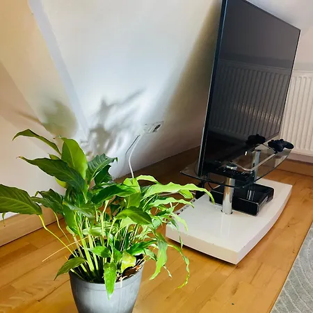 Giebelglueck - 3 Zimmer, Direkt An Der Uniklinik, 2 Schlafzimmer, 4 Gaeste, Wlan